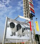 Превью фото № 22237