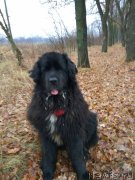 Превью фото № 222389