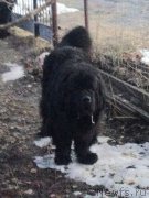 Превью фото № 222438