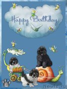 Превью фото № 222458