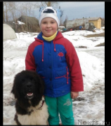 Превью фото № 222465