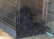 Превью фото № 222467