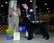 Превью фото № 222482