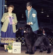 Превью фото № 222483