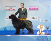 Превью фото № 222509