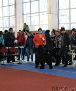 Превью фото № 222511