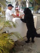 Превью фото № 222549