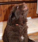 Превью фото № 222583