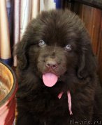 Превью фото № 222587