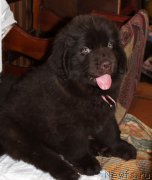 Превью фото № 222589