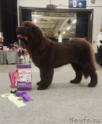 Превью фото № 222694