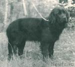 Превью фото № 2227