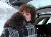 Превью фото № 222724