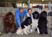 Превью фото № 222740