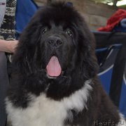 Превью фото № 222745