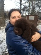 Превью фото № 222787