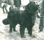 Превью фото № 2228