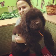 Превью фото № 222828