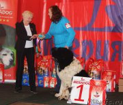 Превью фото № 222855