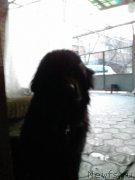 Превью фото № 222973