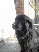 Превью фото № 222974