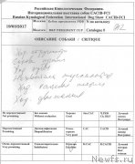 Превью фото № 223006