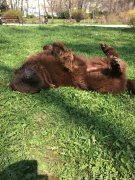 Превью фото № 223016