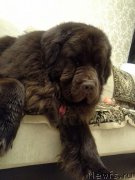 Превью фото № 223019