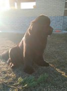 Превью фото № 223083