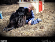 Превью фото № 223087