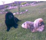 Превью фото № 22310