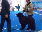 Превью фото № 223132