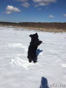 Превью фото № 223189