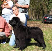 Превью фото № 223243