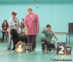 Превью фото № 22329