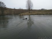 Превью фото № 223299