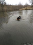 Превью фото № 223300