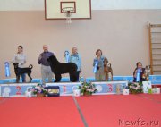 Превью фото № 223303