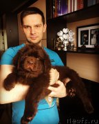 Превью фото № 223311