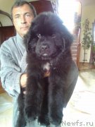 Превью фото № 223332