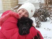 Превью фото № 223431