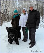 Превью фото № 223504