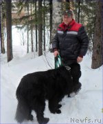 Превью фото № 223507