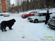 Превью фото № 223508