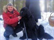 Превью фото № 223510