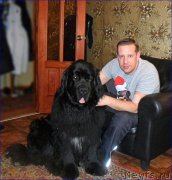 Превью фото № 223512