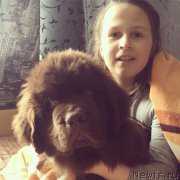 Превью фото № 223522