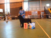 Превью фото № 223532