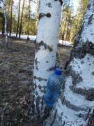 Превью фото № 223579