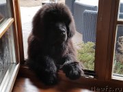 Превью фото № 223623